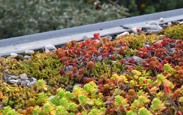 the cost of Spetchley green roof installation