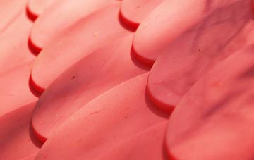 Spetchley plastic roof costs