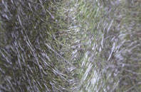 Spetchley fibreglass roof work